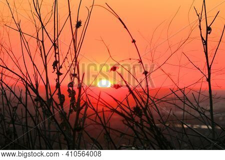Sun Setting On The Horizon Through Chaparral Plants On A Rural Grassy Field Taken In The Whittier Hi