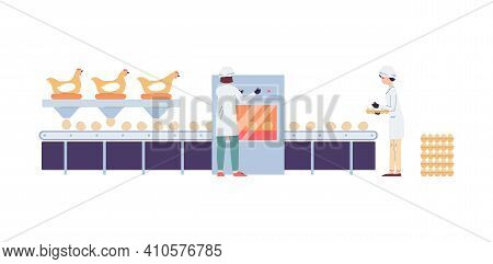 Poultry Factory Conveyor For Eggs Production, Flat Vector Illustration Isolated.