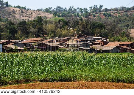 An Indian Rural Or Village Or Countryside Houses Surrounding With Sunflower Agricultural Land In Sum