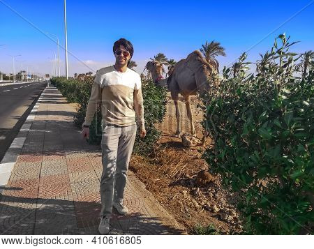 Caucasian Man Smiling Posing Against The Backdrop Of A One-humped Camel On The Street Of Sharm El Sh