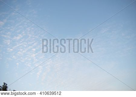 White Altocumulus Clouds With Small Sunset Glow and Tree In Corner.