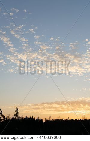 White Altocumulus Clouds With Small Sunset Glow And Trees. Small Beautiful Clouds.