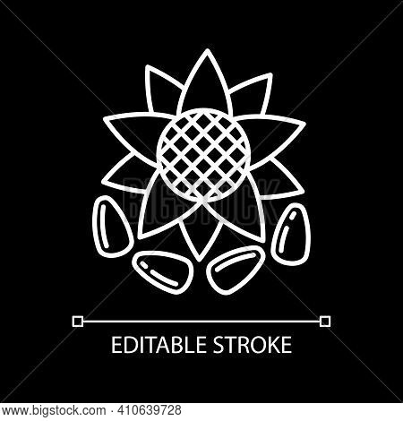 Sunflower Seeds White Linear Icon For Dark Theme. Kernel For Oil Production. Diet Food. Thin Line Cu