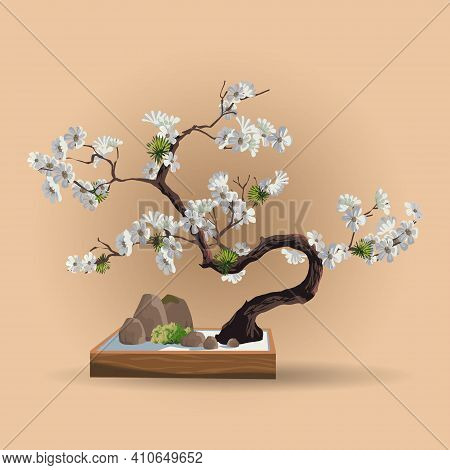 Tree In Bonsai Style. Bonsai Tree With White Sakura Flowers On The Low Box. Decorative Little Tree V