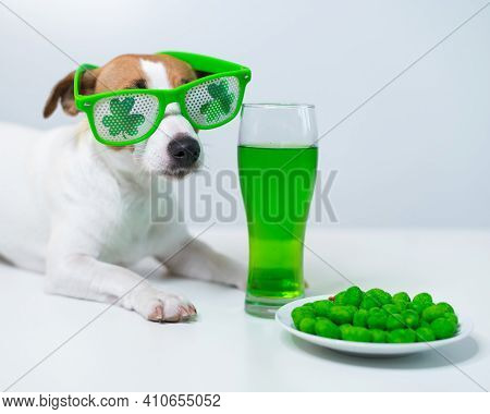 Dog With A Mug Of Green Beer And Glazed Nuts In Funny Glasses On A White Background. Jack Russell Te