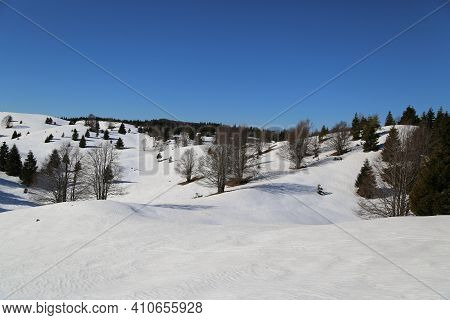 View Of The Landscape Near The Col Dei Scios In Friuli Venezia Giulia, Italy. High Quality Photo