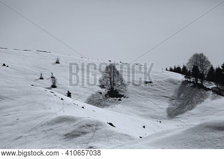 View Of The Landscape Near The Col Dei Scios In Friuli Venezia Giulia, Italy. High Quality Photo