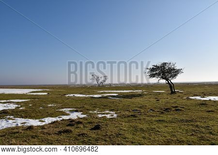 Early Springtime By The Great  Pastureland At Ottenby In Sweden, A Part Of The World Heritage Southe