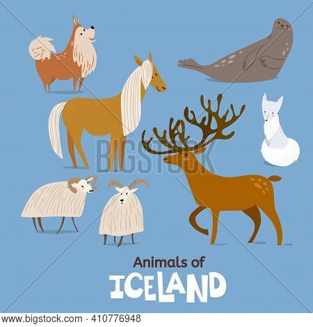 Animals Of Iceland In Flat Modern Style