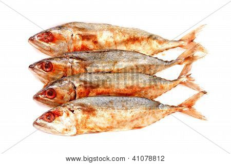 Salted Mackerel Fishs On White Background