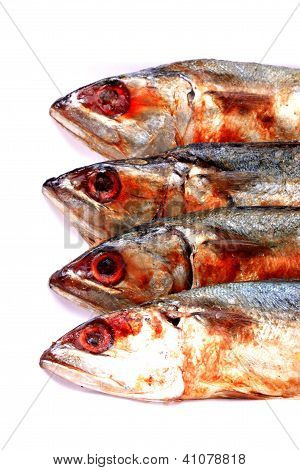 Salted Mackerel Fishs On White Background