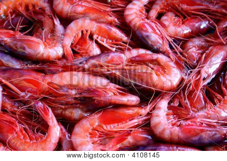 Pesce fresco