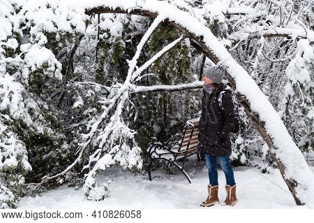 Young Woman Standing Near Fallen Tree After Sleet Load And Snow In A Snow-covered Winter Park. Snowy