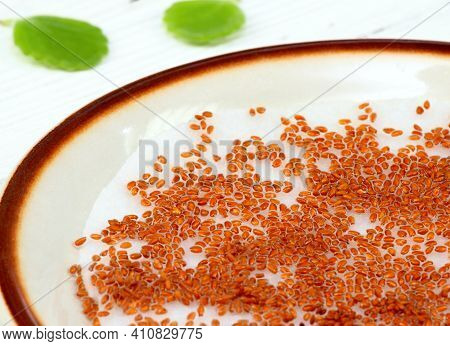 Planting  Seeds Of Garden Cress, Lepidum Sativum.  Fresh Spring Herb Full Of Vitamins Grown At Home.