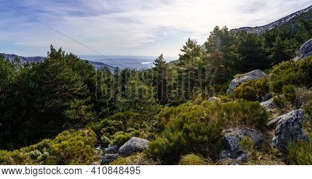 Panoramic Green Landscape With Green Plants, Rocks And Blue Sky With Sun Flare. La Morcuera, Madrid.