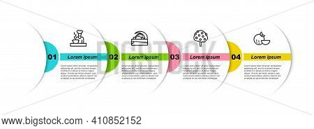 Set Line Spanish Cook, Concert Hall De Tenerife, Orange Tree And Fruit. Business Infographic Templat