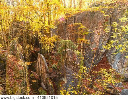 Rocks And Stones In The Autumn Forest