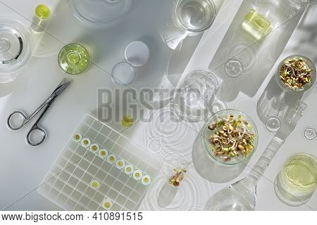 Macrobiotic Food. Mix Of Fresh Sprouts In Glass Jar. Long Shadows, Water Splashes. Nutrition Value O