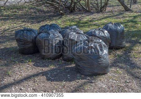 Dry Brown Leaves, Twigs, And Other Debris Collected In Black Plastic Garbage Bags, Standing On The G