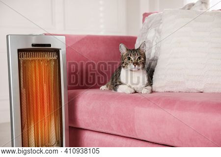 Cute Cat On Sofa Near Modern Electric Ultrared Heater Indoors