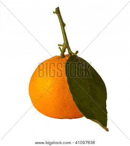 Mandarin
