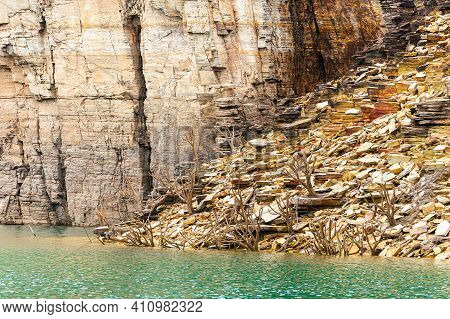 Dry Branches In The Middle Of Sedimentary Rocks At The Edge Of The Lake. Lake Of Furnas At Capitólio