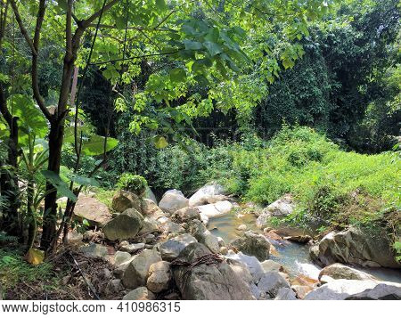 Rural Scenery From A Jungle In Koh Samui In Thailand 14.1.2018