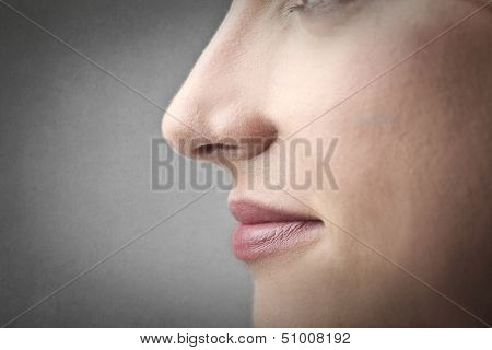 closeup of nose and mouth in profile