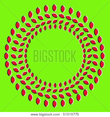 Optical illusion: rotation of circles made from dried fruits isolated on green background