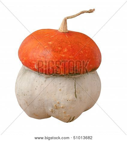 Decorative Pumpkin (cucurbita Pepo) On The White Background