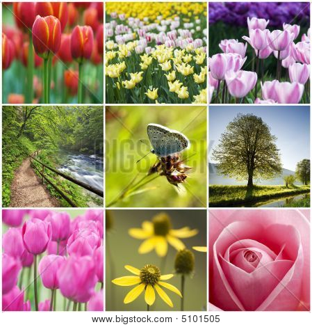 Blomst Collage