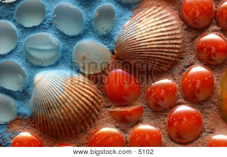 Shells_42021