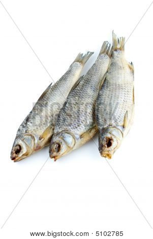 Drie zee Roach vissen