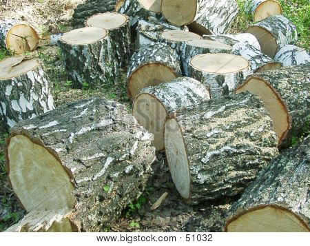 Brennholz