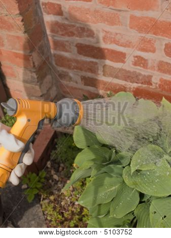 Vanding planter