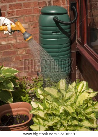 Vanding planter