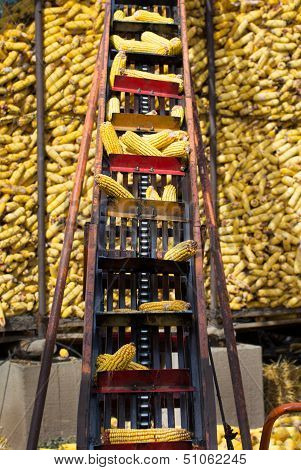 Elevator for corn cob