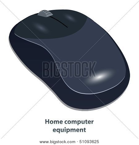 Mouse