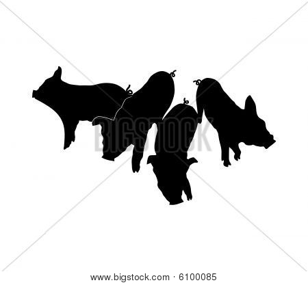 สุกร silhouettes บนพื้นหลังสีขาว