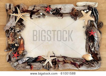 Seashell, seaweed and driftwood abstract border over oak wood and paper parchment background.