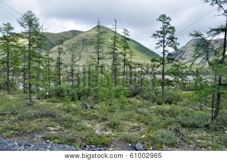 Mountains Of Yakutia In The Late Summer.