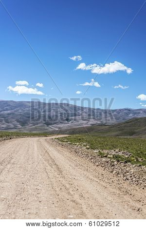 Condor, Quebrada De Humahuaca, Jujuy, Argentina