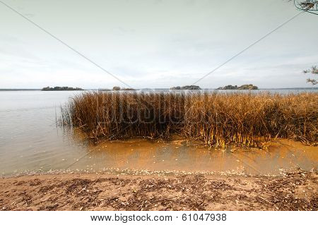 Island Melancholic Autumn