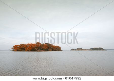 Island Melancholic Autumn