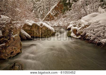Winter Returns