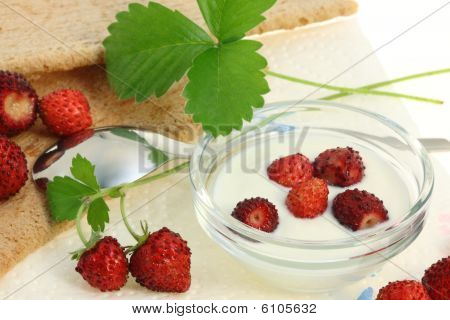 Crispbread And Wild Berries
