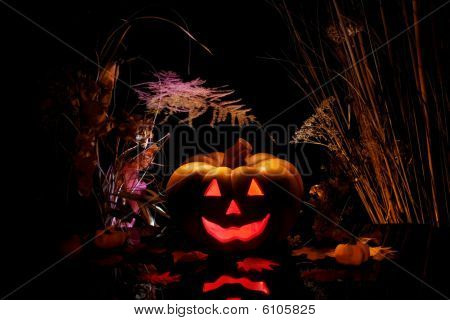 Halloween Pumpkin And Dry Plants.