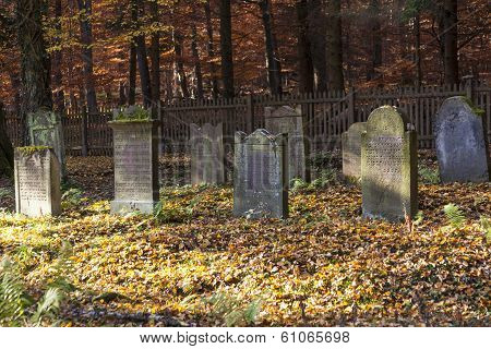 KOENIGSTEIN, GERMANY - MAY 3, 2012: old jewish cemetery in the oak forest