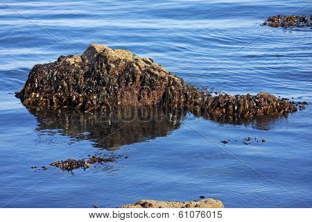 Rocks in the Sea