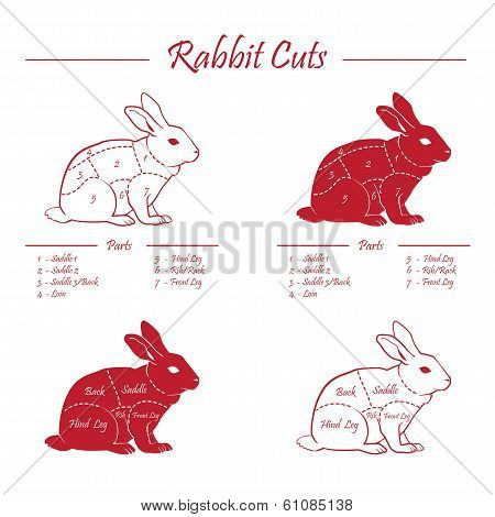 Rabbit Meat Cuts Scheme